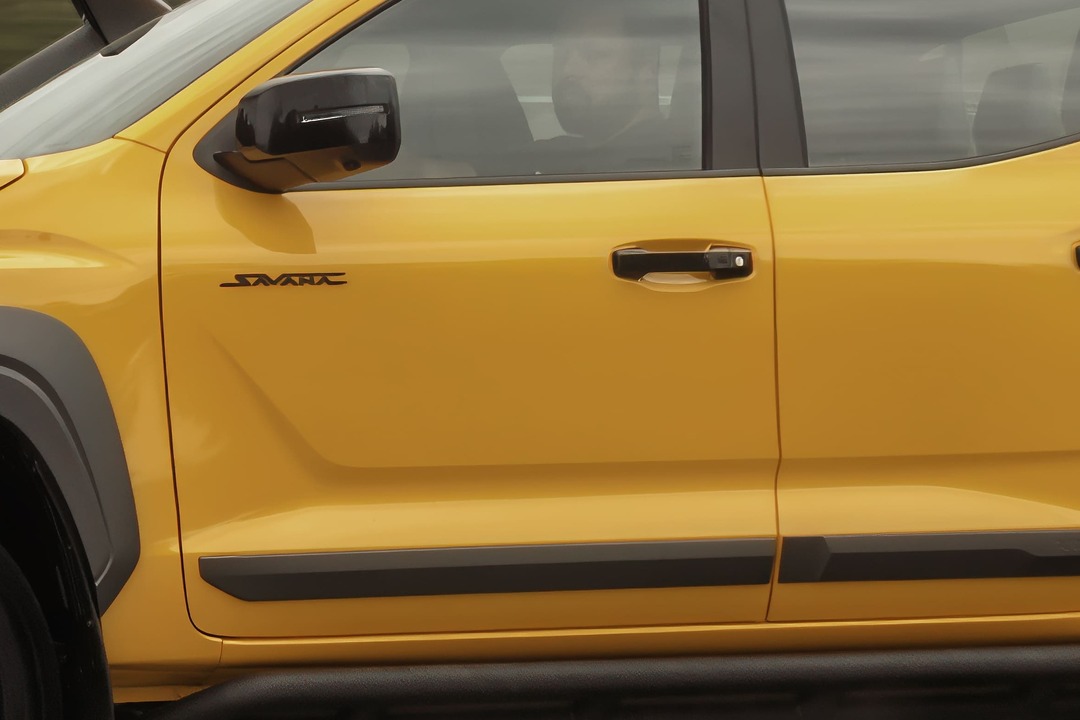 FRISO DE PORTA SAVANA